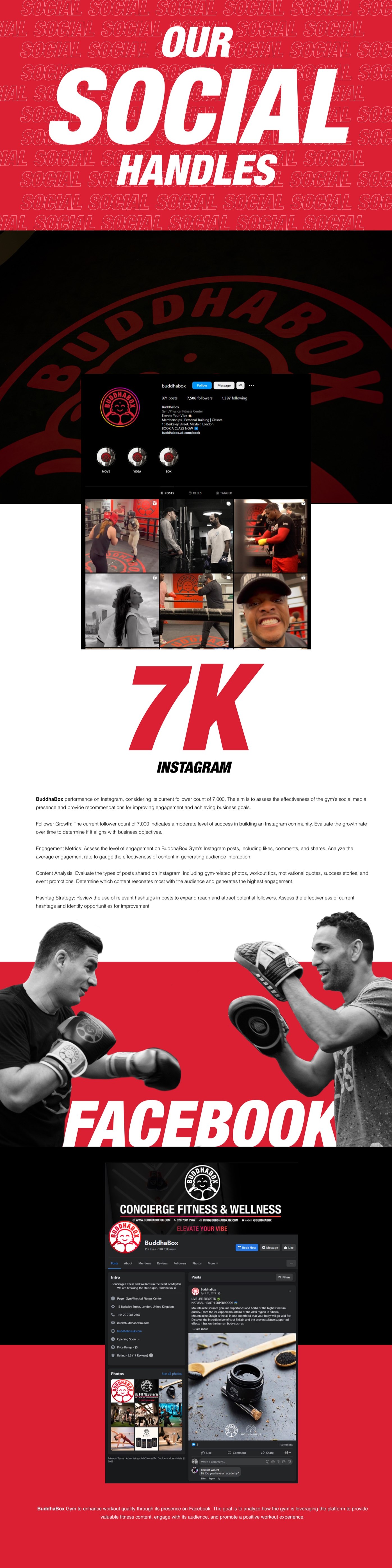 BuddhaBox 7K Instagram, active Facebook
