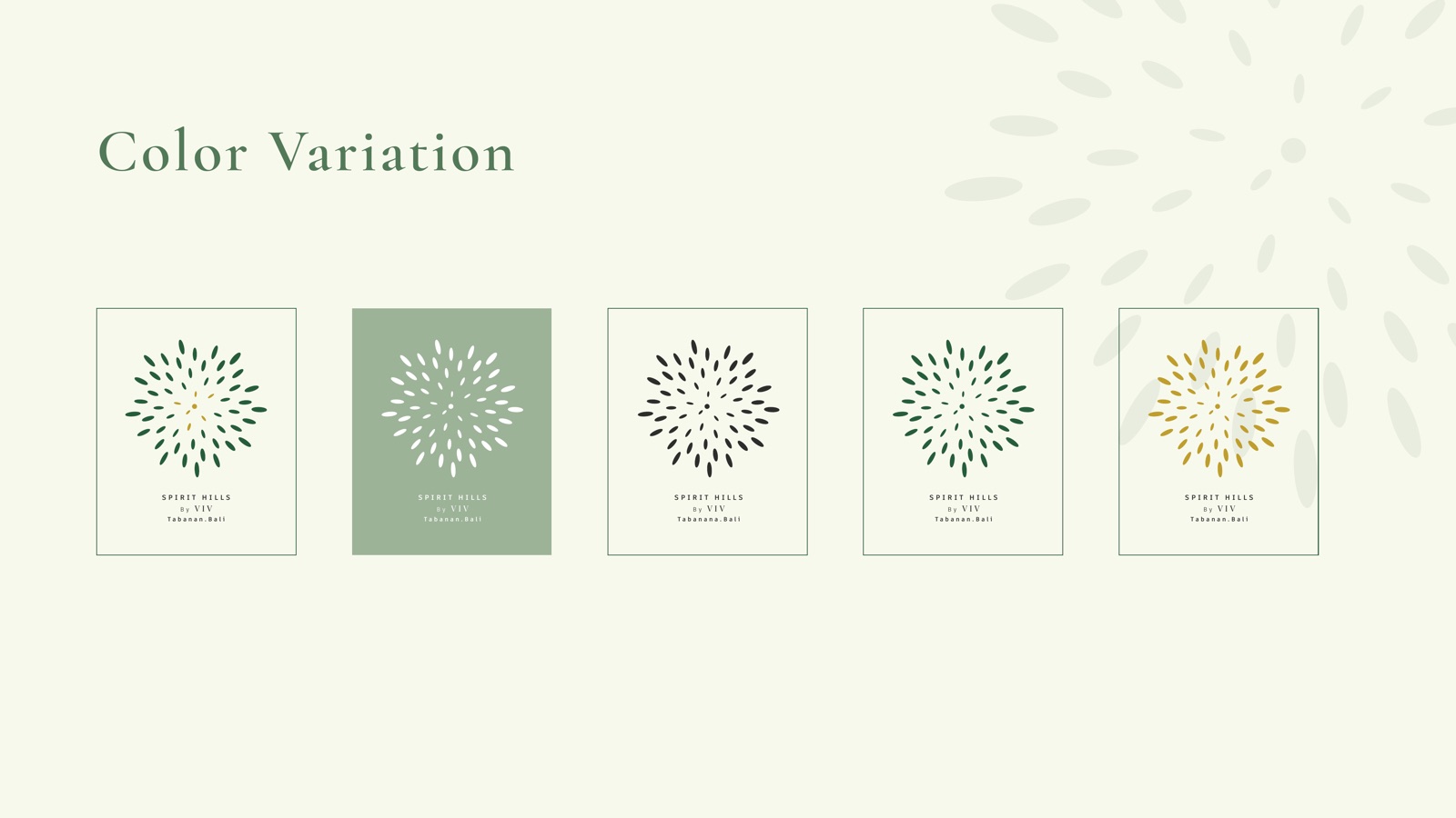 The Spirit Hills seed-burst mark sitting on tinted brand colour panels